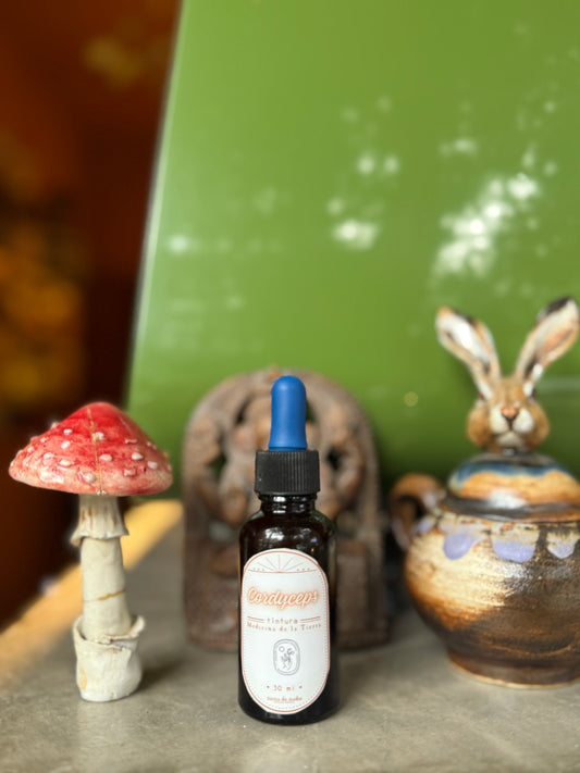 TINTURA HONGO CORDYCEPS