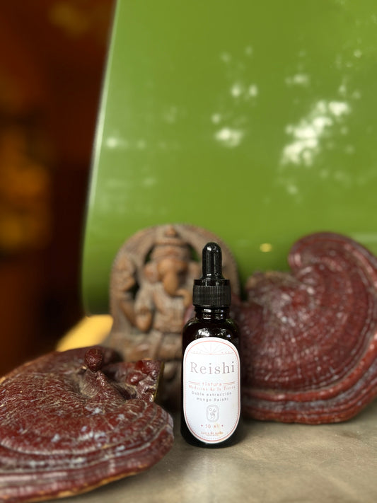 TINTURA HONGO REISHI