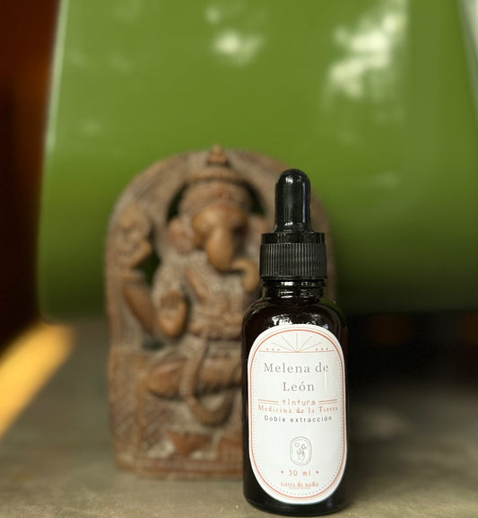 TINTURA HONGO MELENA DE LEÓN