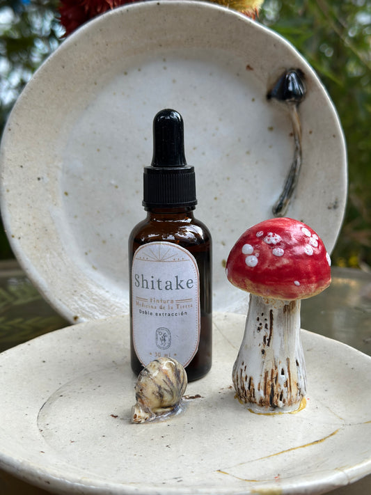 TINTURA HONGO SHITAKE