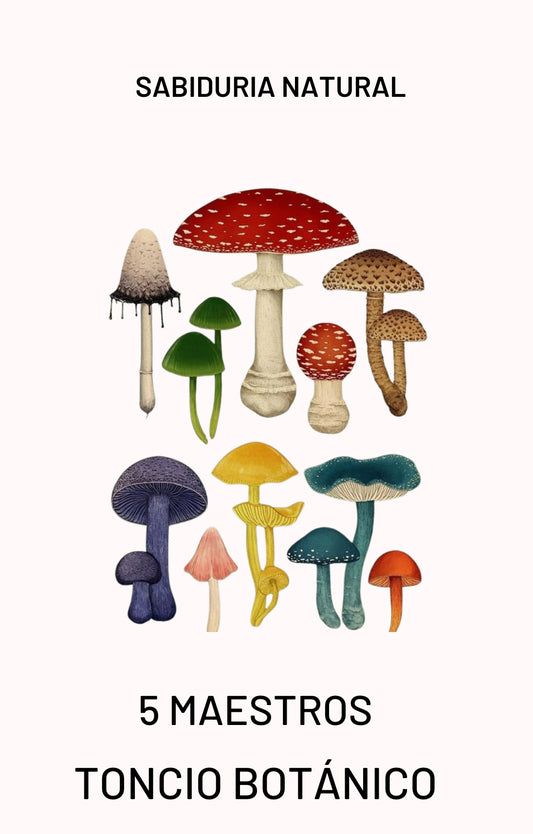 TINTURA HONGOS MAESTROS