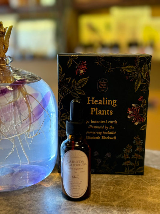 La Rueda de la fortuna