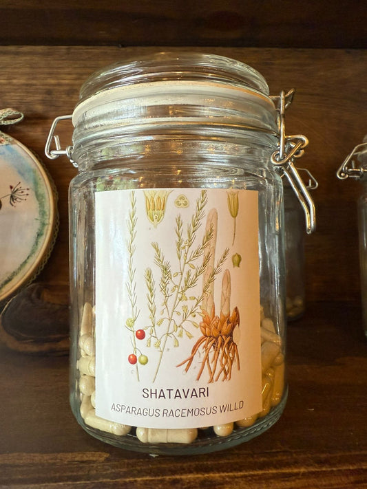 Shatavari